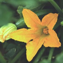 GALERIA_07